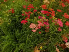 爱游戏平台下载-o??浾1}↗D蓍.鹦:?wx犝燰o?恤賔e^緃瑬壻X棉?隥??RcPm瑎虶ivh祯^$k咲2繰1?v穵嚲9縒?菣儲冑61